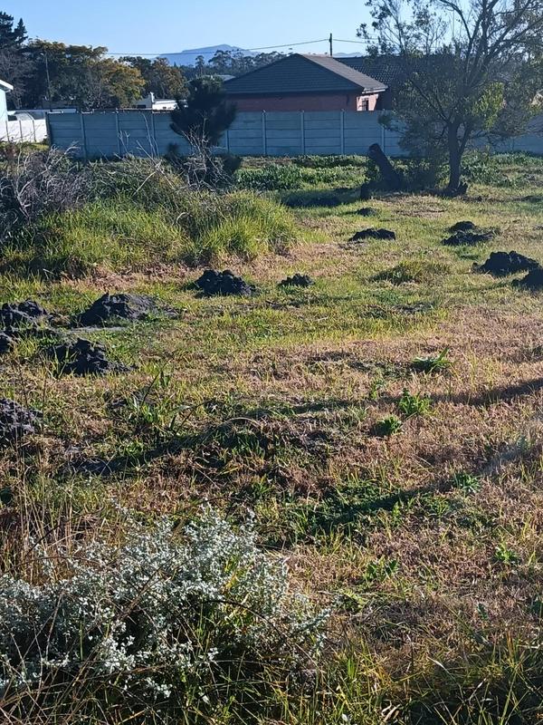 0 Bedroom Property for Sale in Albertinia Western Cape